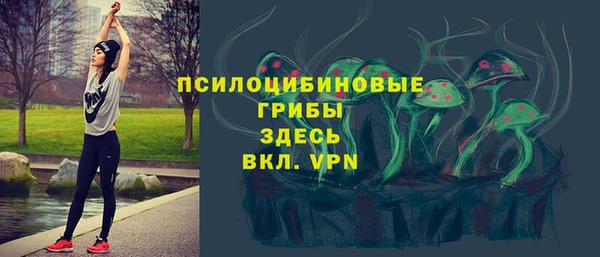 стафф Балахна